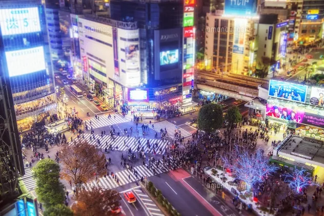 渋谷エリアについて！