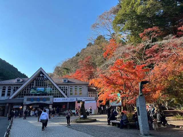 東京の自然を楽しむ多摩エリア！