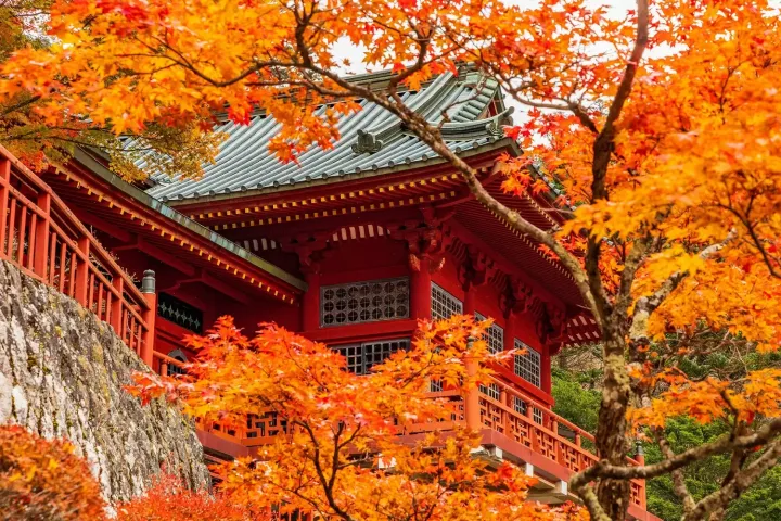 紅葉が見頃の日光エリア！